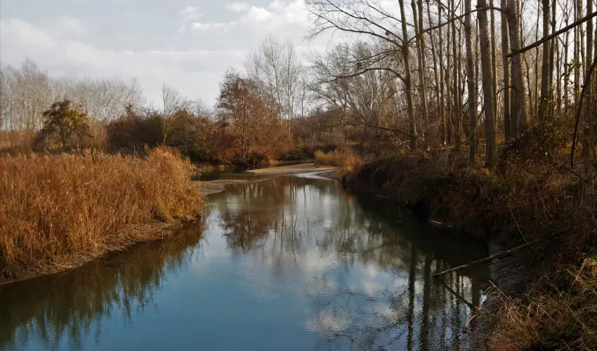 Duna-Beach Apartman Kimle