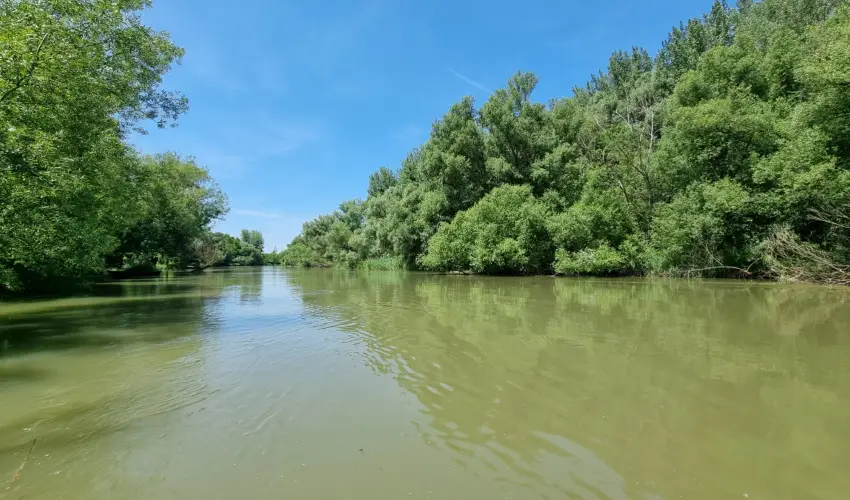 Duna-Beach Apartman Kimle