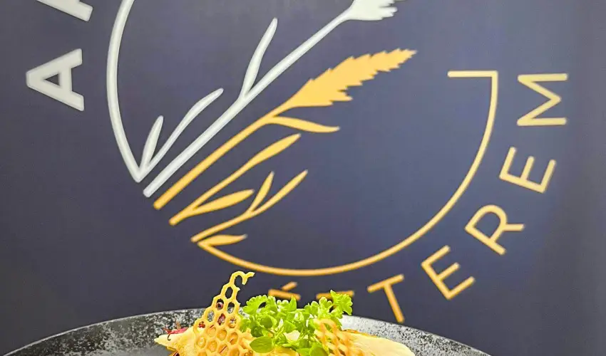 Gyirmt Sport & Wellness Hotel Gyr