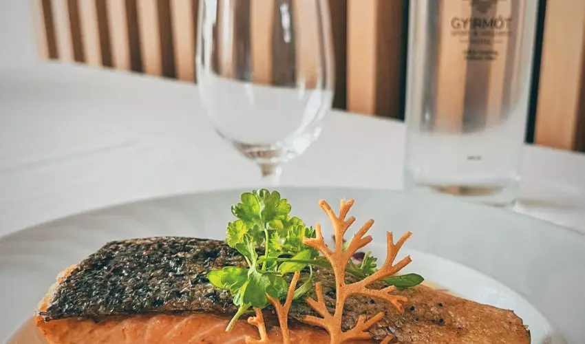 Gyirmt Sport & Wellness Hotel Gyr