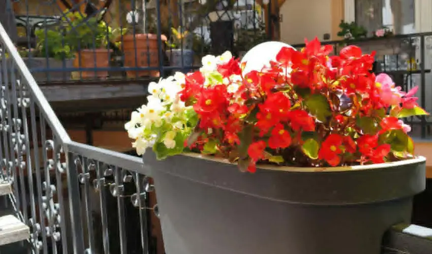 Hotel Isabell Gy�r