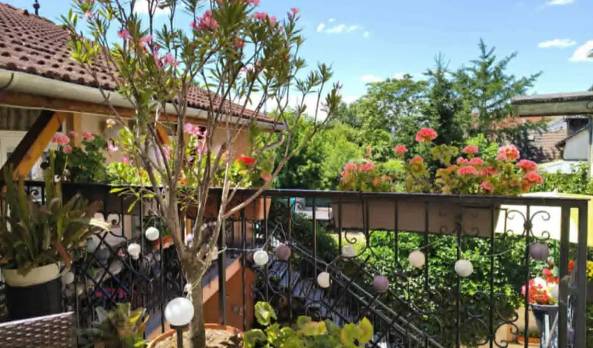Hotel Isabell Gy�r