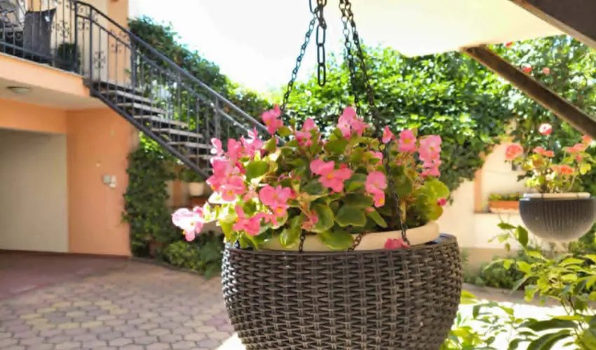 Hotel Isabell Gy�r