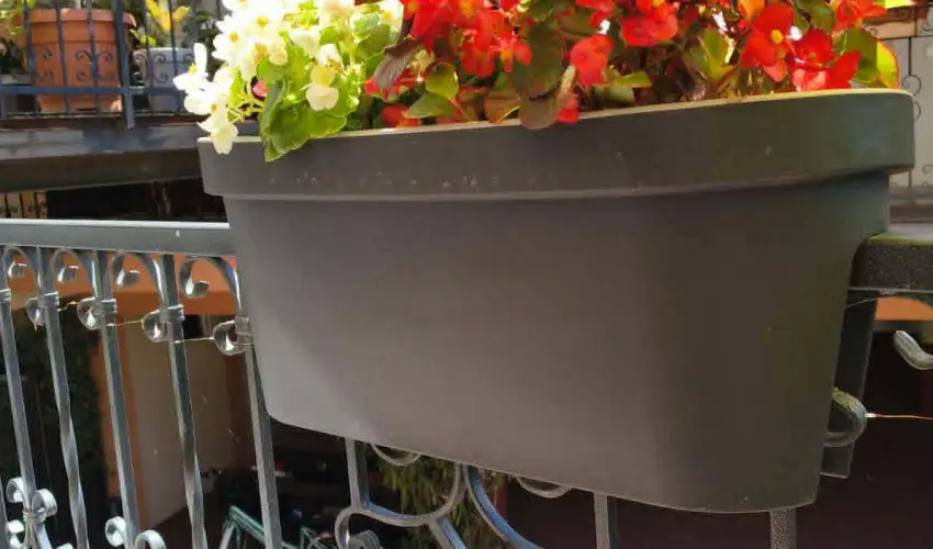 Hotel Isabell Gy�r