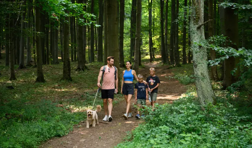 Hotel Nar�d M�traszentimre