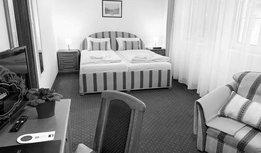 Hotel Wessel�nyi Gy�r