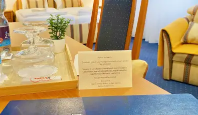 Hotel Wessel�nyi Gy�r