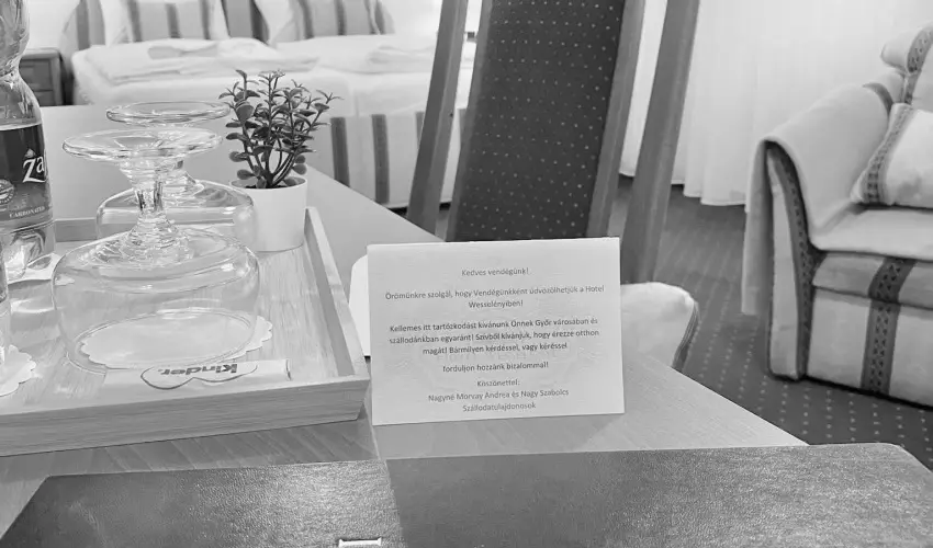 Hotel Wessel�nyi Gy�r