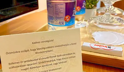 Hotel Wessel�nyi Gy�r