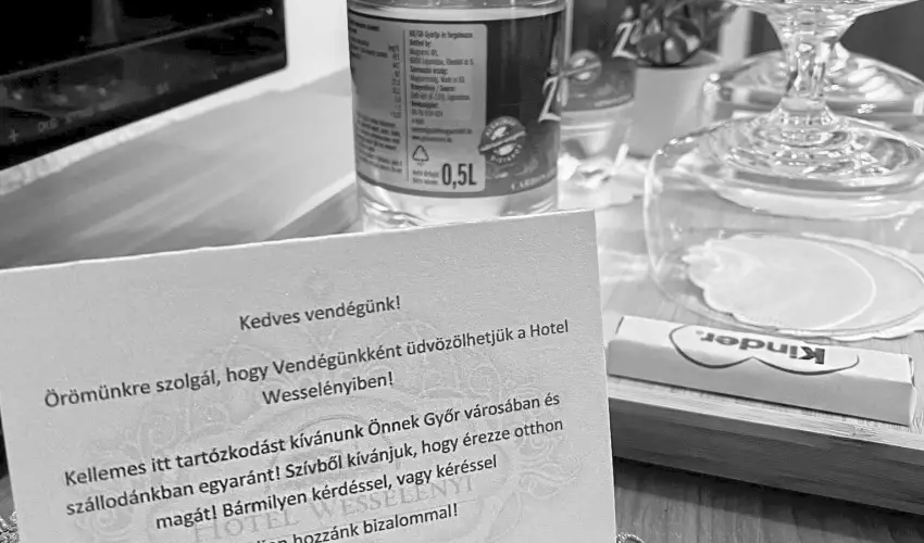 Hotel Wessel�nyi Gy�r