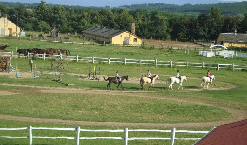 Sokor Fogad Sokorptka