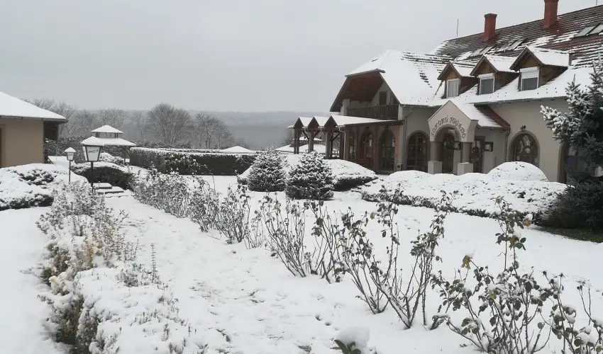 Sokor Fogad Sokorptka