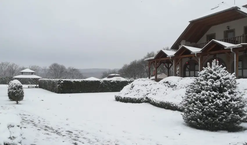 Sokor Fogad Sokorptka