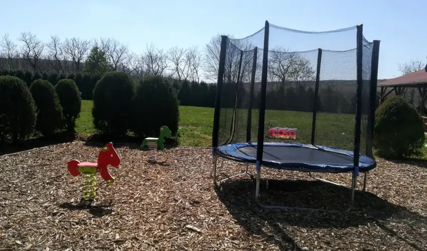 Sokor Fogad Sokorptka