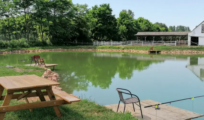 Sokor Fogad Sokorptka