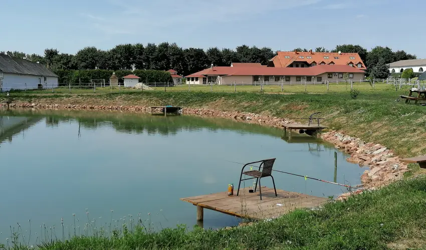 Sokor Fogad Sokorptka