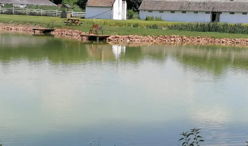 Sokor Fogad Sokorptka