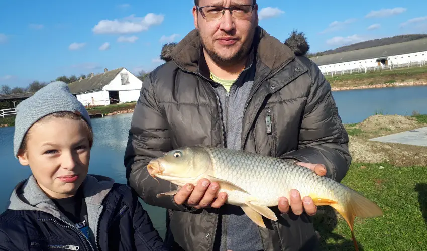 Sokor Fogad Sokorptka