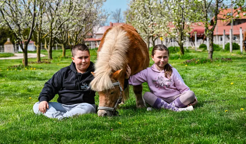 Sokor� Fogad� Sokor�p�tka