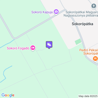 Sokor Fogad a trkpen